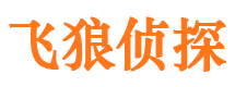 临潼市调查公司